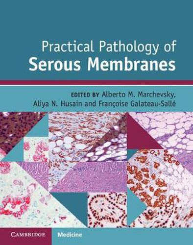 Cover image for Practical Pathology of Serous Membranes