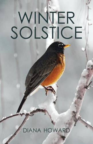 Cover image for Winter Solstice