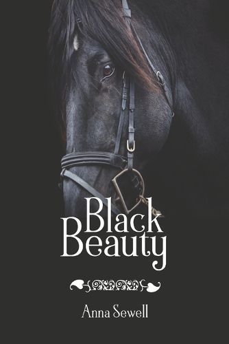 Cover image for Black Beauty