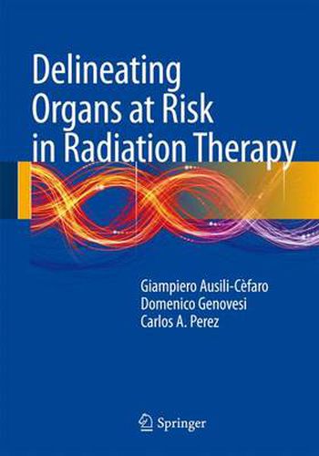 Cover image for Delineating Organs at Risk in Radiation Therapy