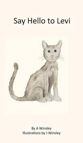 Cover image for Say Hello to Levi