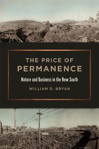 Cover image for The Price of Permanence: Nature and Business in the New South