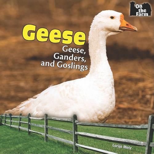 Cover image for Geese