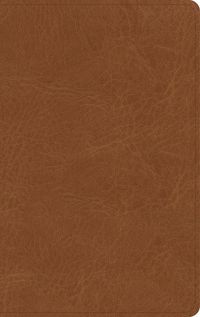 Cover image for NASB Single-Column Personal Size Bible, Tan Genuine Leather