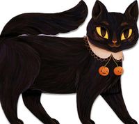 Cover image for One Black Cat