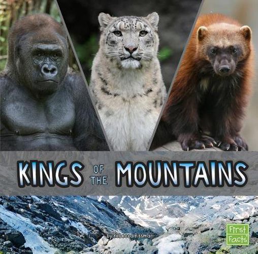 Cover image for Kings of the Mountains