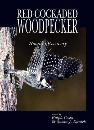 Cover image for Red Cockaded Woodpecker: Road to Recovery