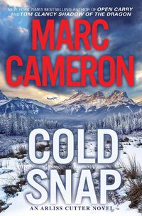 Cover image for Cold Snap: An Action Packed Novel of Suspense
