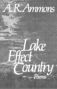Cover image for Lake Effect Country Poems