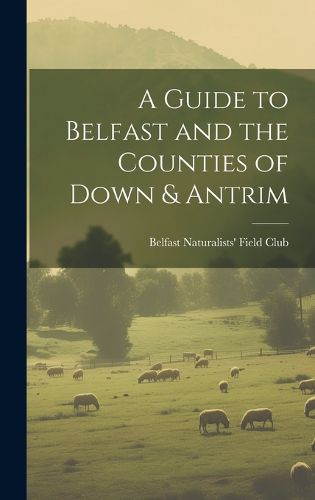 Cover image for A Guide to Belfast and the Counties of Down & Antrim