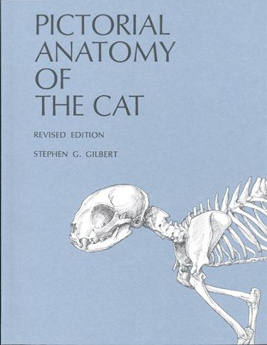 Cover image for Pictorial Anatomy of the Cat