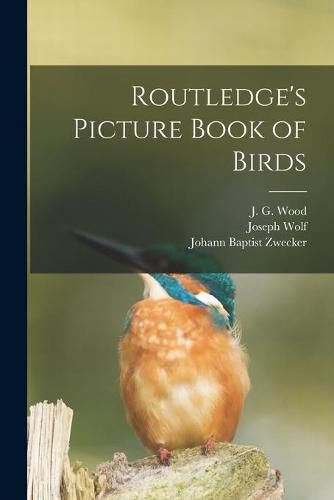 Cover image for Routledge's Picture Book of Birds