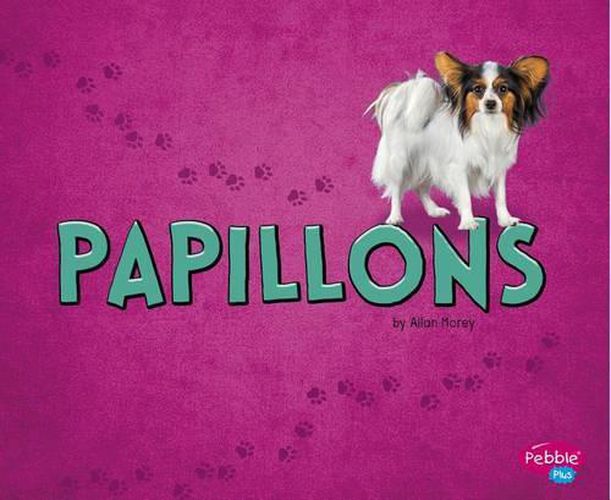 Cover image for Papillons