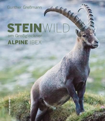 Cover image for Alpine Ibex: Steinwild Am Grossglockner