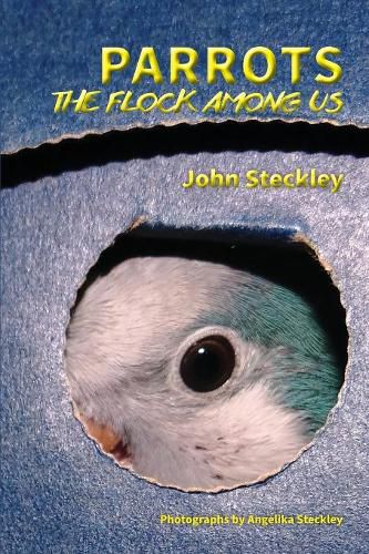 Parrots: The Flock Among Us, Deluxe Colour Edition