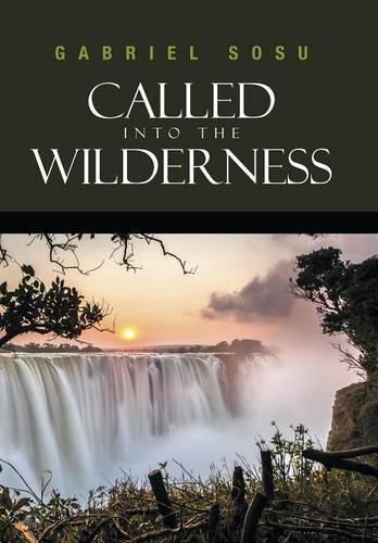 Cover image for Called into the Wilderness