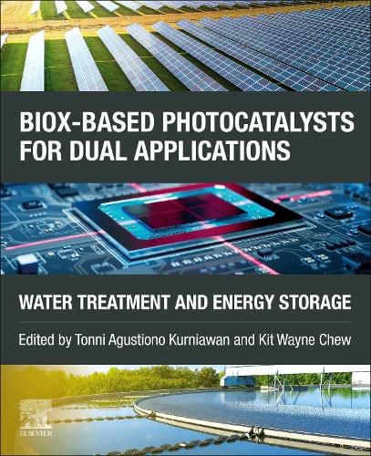 Cover image for BiOX-based Photocatalysts for Dual Applications