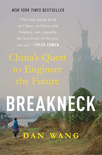 Cover image for Breakneck
