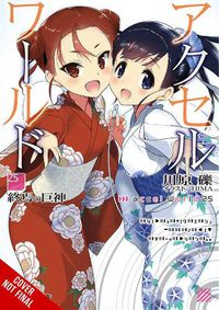 Cover image for Accel World, Vol. 25 (light novel)