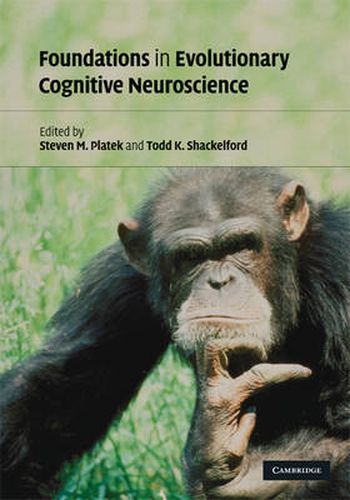 Cover image for Foundations in Evolutionary Cognitive Neuroscience