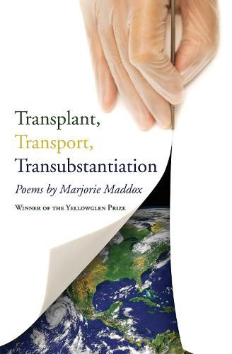 Cover image for Transplant, Transport, Transubstantiation