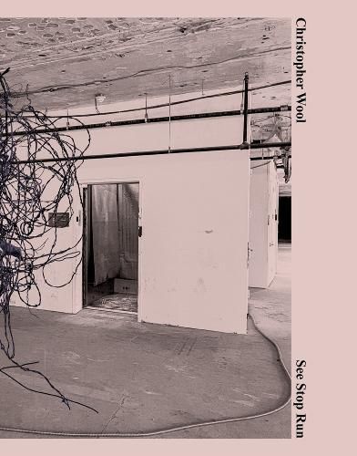 Cover image for Christopher Wool: See Stop Run