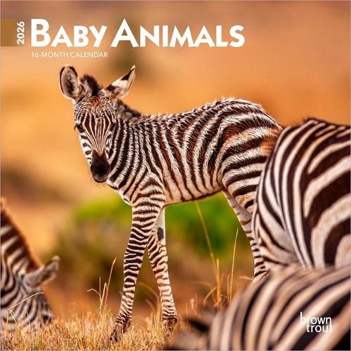 Cover image for Baby Animals 2026 7 X 14 Inch (Hanging) Monthly Mini Wall Calendar
