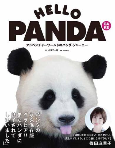 Cover image for Hello Panda Cake