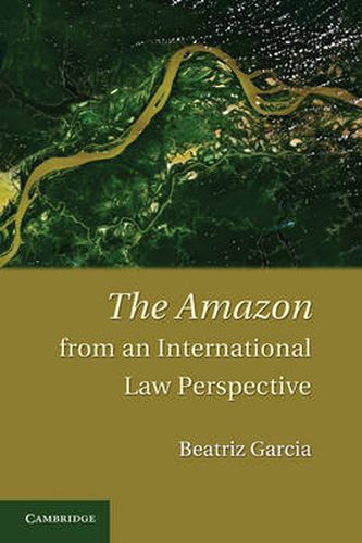 Cover image for The Amazon from an International Law Perspective