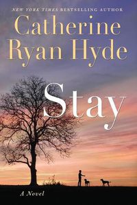 Cover image for Stay