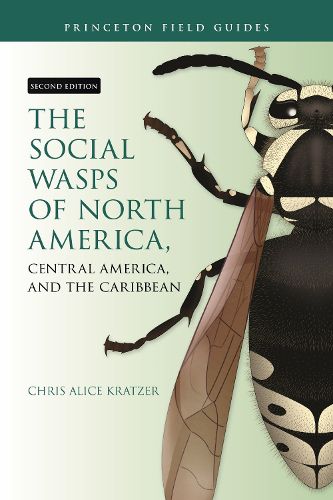 Cover image for The Social Wasps of North America, Central America, and the Caribbean, Second Edition