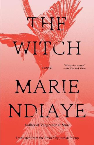 Cover image for The Witch