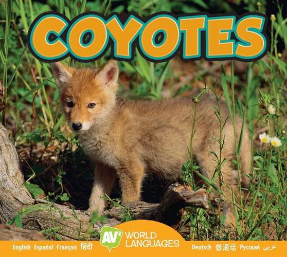 Cover image for Coyotes