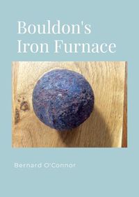 Cover image for The Bouldon Iron Furnace, Shropshire