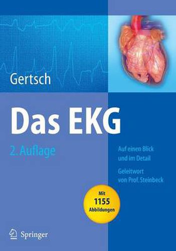 Das EKG: Auf einen Blick und im Detail