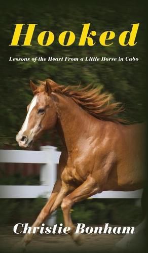 Cover image for Hooked: Lessons of the Heart From a Little Horse in Cabo