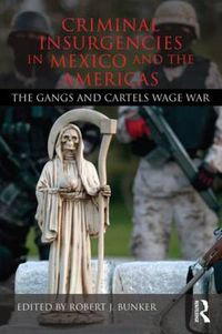 Cover image for Criminal Insurgencies in Mexico and the Americas: The Gangs and Cartels Wage War