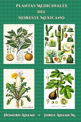 Cover image for Plantas medicinales del noreste mexicano