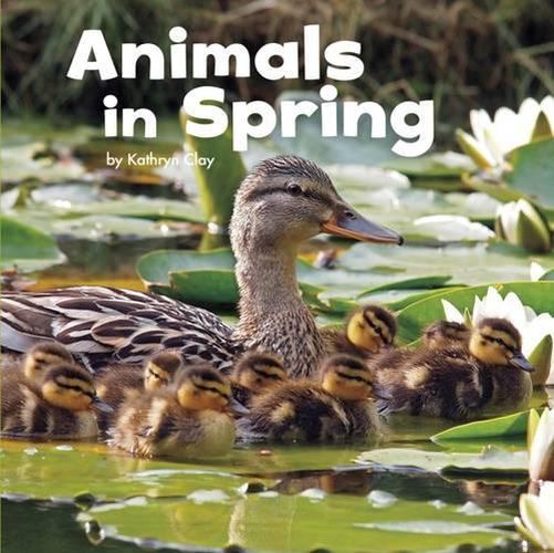 Cover image for Animals in Spring