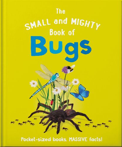 Cover image for The Small and Mighty Book of Bugs: Pocket-sized books, massive facts!