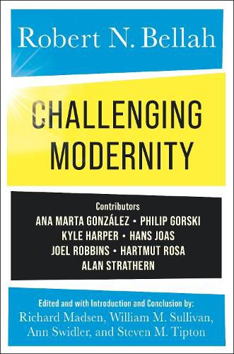 Cover image for Challenging Modernity