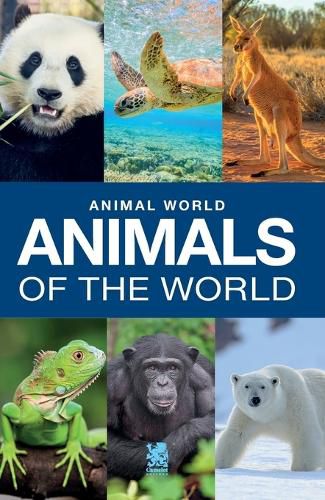 Cover image for Animal World