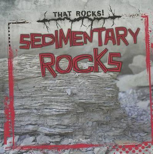 Cover image for Sedimentary Rocks