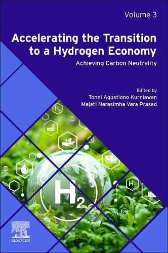 Accelerating the Transition to a Hydrogen Economy