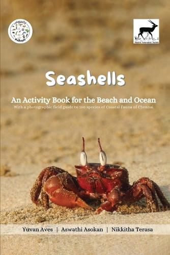 Cover image for Seashells