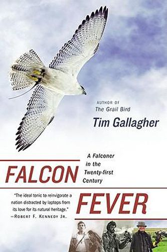 Cover image for Falcon Fever: A Falconer in the Twenty-First Century