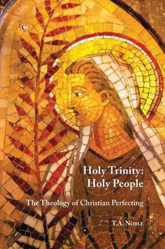 Cover image for Holy Trinity: Holy People: The Theology of Christian Perfecting