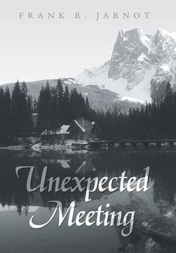 Cover image for Unexpected Meeting