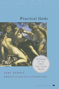 Cover image for Practical Gods