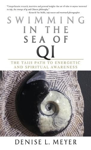 Cover image for Swimming in the Sea of Qi